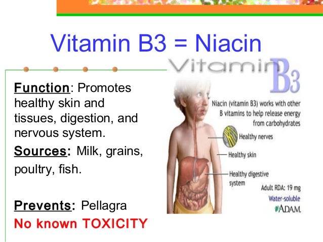 Diets To Lose Weight Fast Without Exercise Vitamin B3 Function diets-to-lose-weight-fast-without-exercise-vitamin-b3-function
